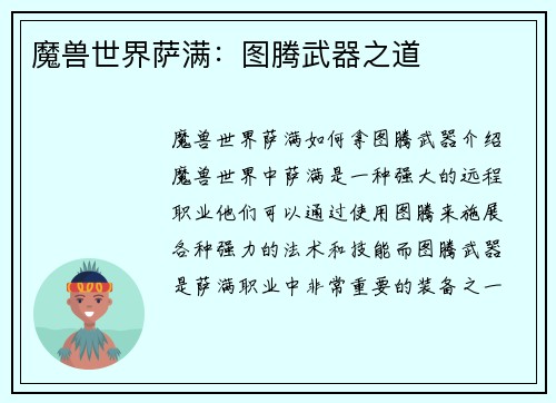 魔兽世界萨满：图腾武器之道