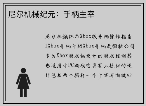 尼尔机械纪元：手柄主宰