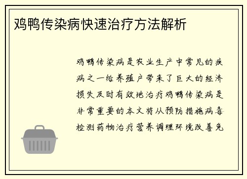 鸡鸭传染病快速治疗方法解析
